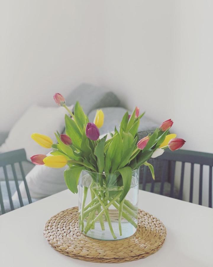 Apartamento Cioccis Boutique *